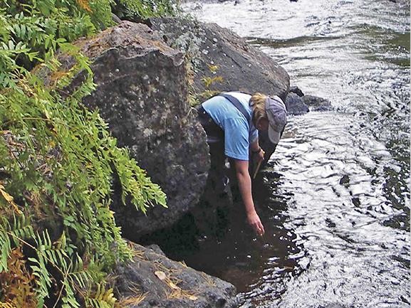 HOBO野外戶外溫度相對(duì)濕度光照度監(jiān)測(cè)自動(dòng)記錄解決方案記錄儀總覽表