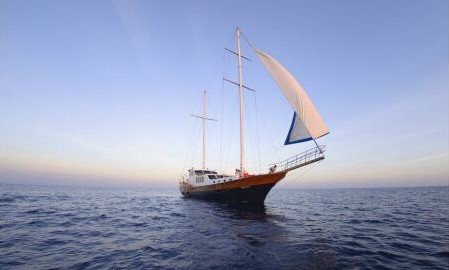 ף�R�҇��ɹ������׿��pģʽ���Ì������_����ȿ�Ͷ���Ј�